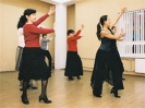 Flamenco 2